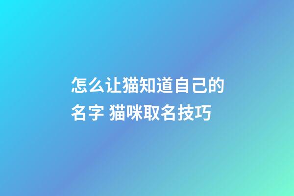 怎么让猫知道自己的名字 猫咪取名技巧